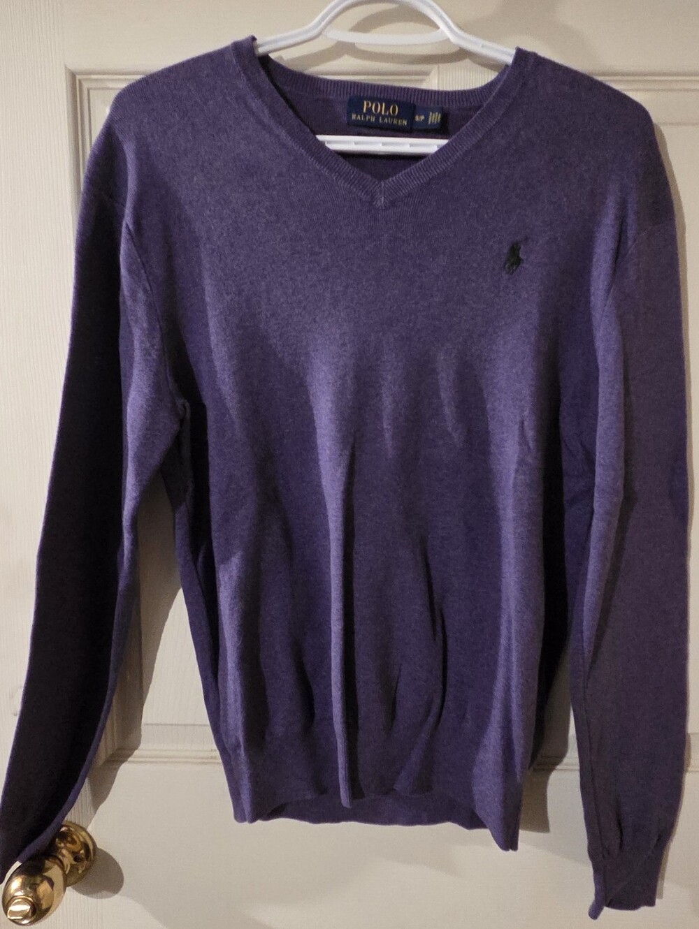Polo by Ralph Lauren Men’s V-Neck Sweater in Purple with Green Pony